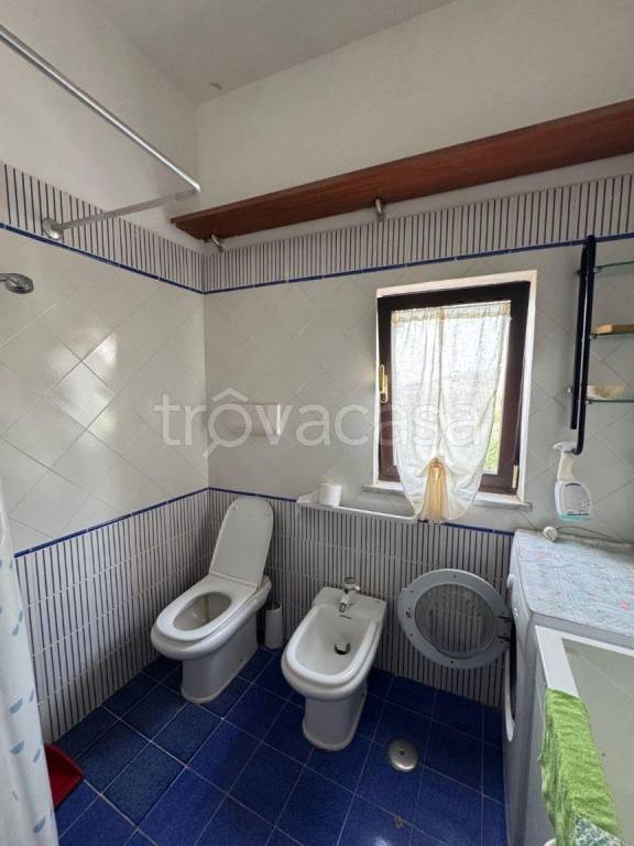 immagine annuncio 8 di 14