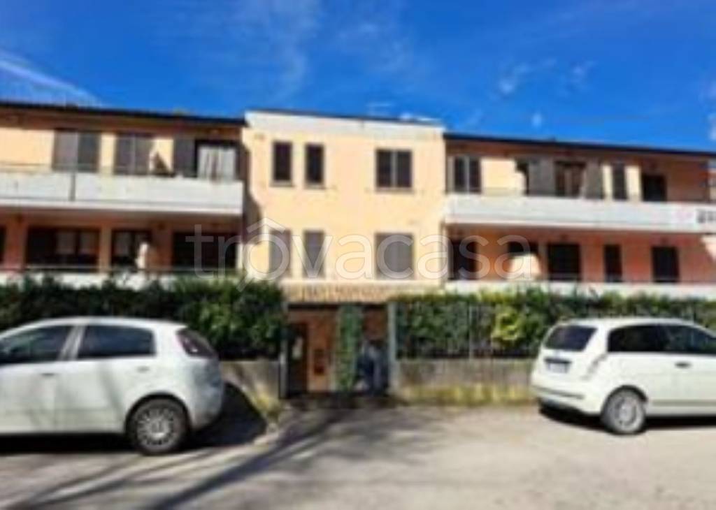 immagine annuncio 2 di 11