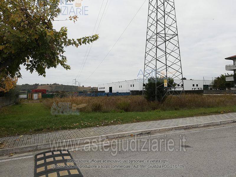 immagine annuncio 2 di 3