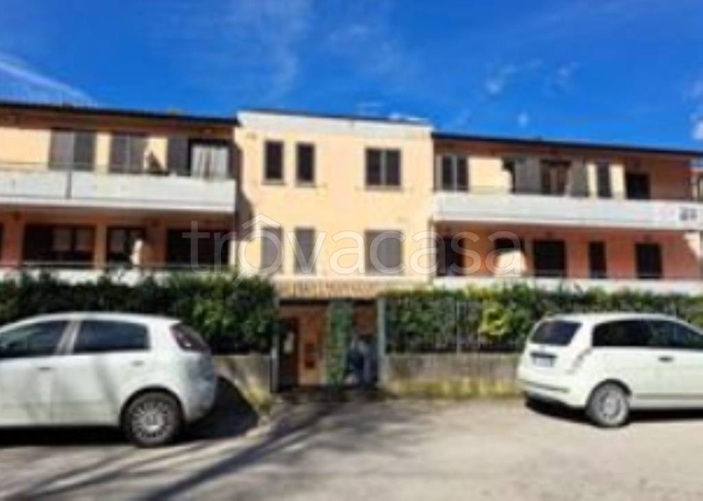 immagine annuncio 3 di 11