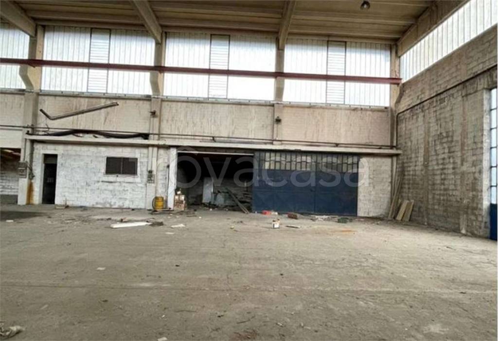 immagine annuncio 9 di 12