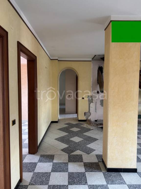 immagine annuncio 3 di 12