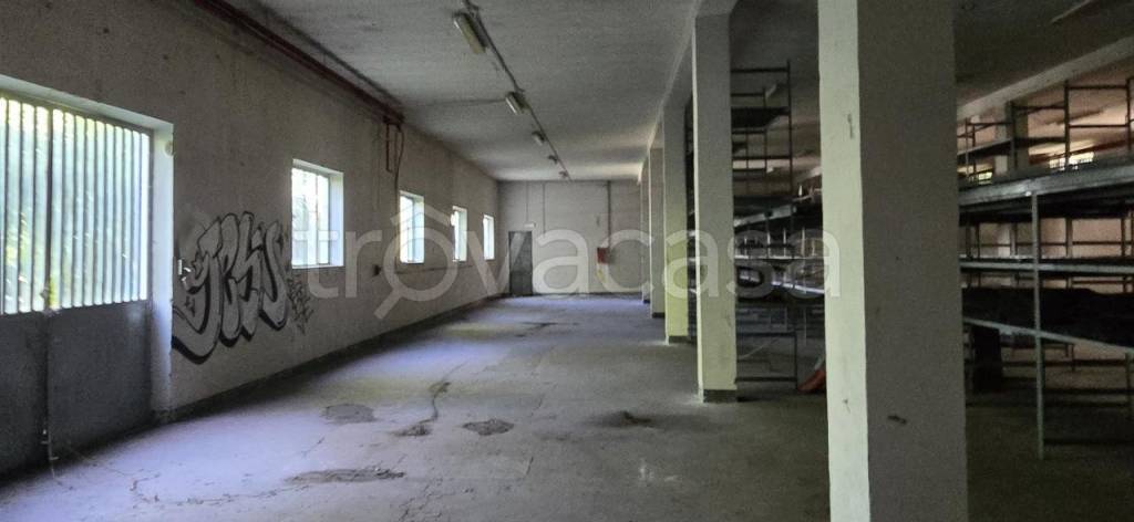 immagine annuncio 5 di 9