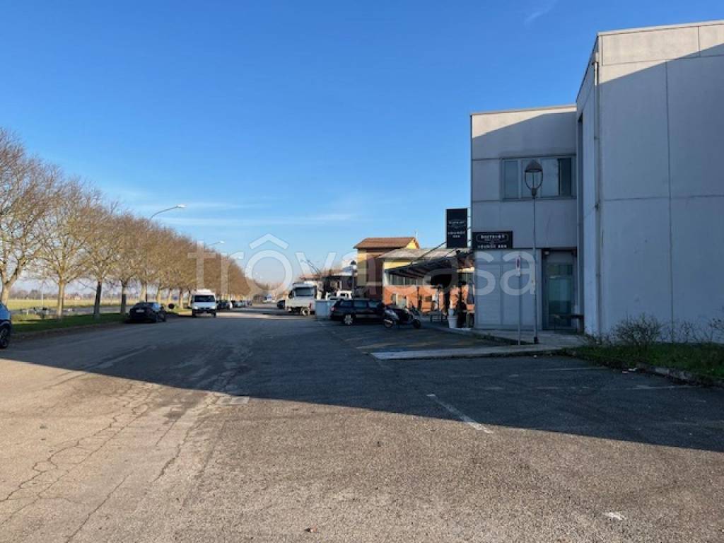 immagine annuncio 5 di 6