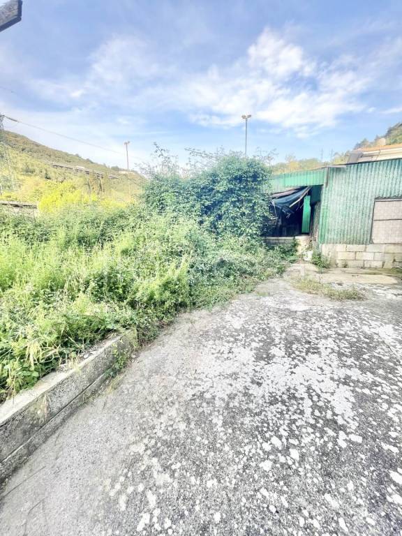 immagine annuncio 11 di 12