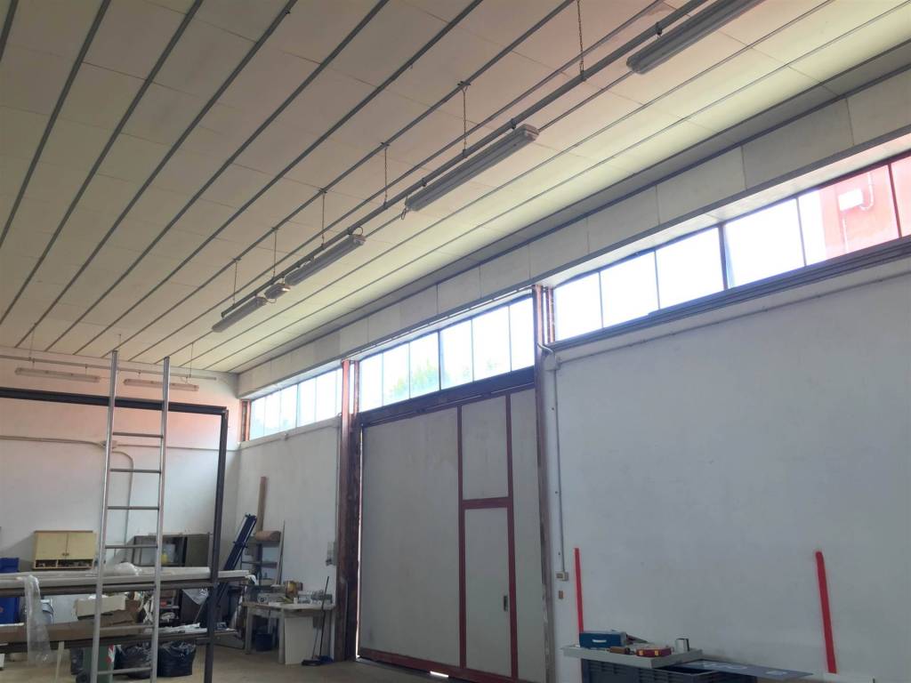 immagine annuncio 9 di 11