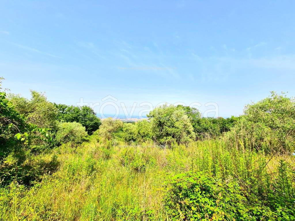 immagine annuncio 7 di 11