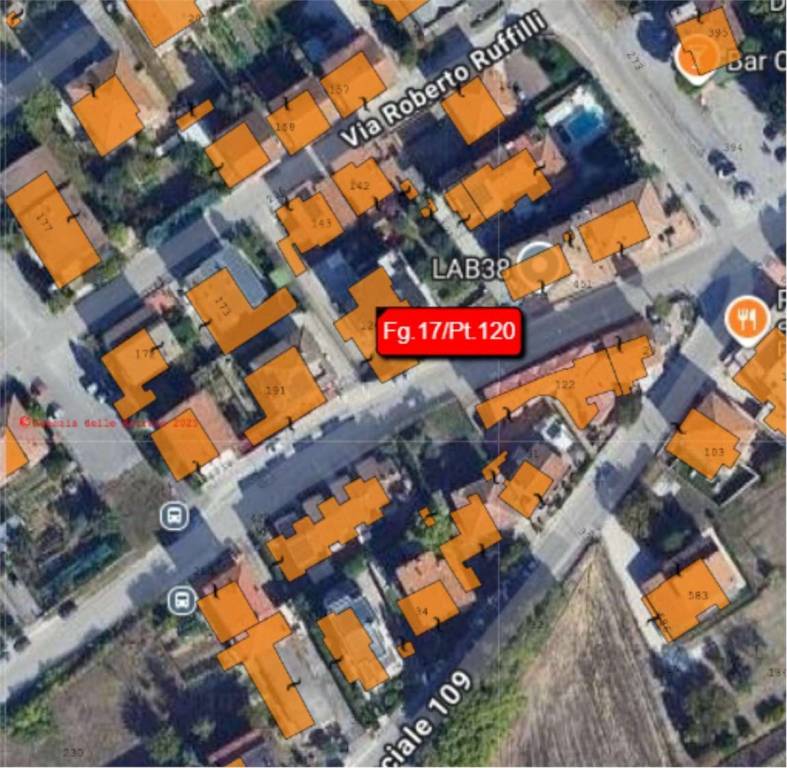 immagine annuncio 5 di 15