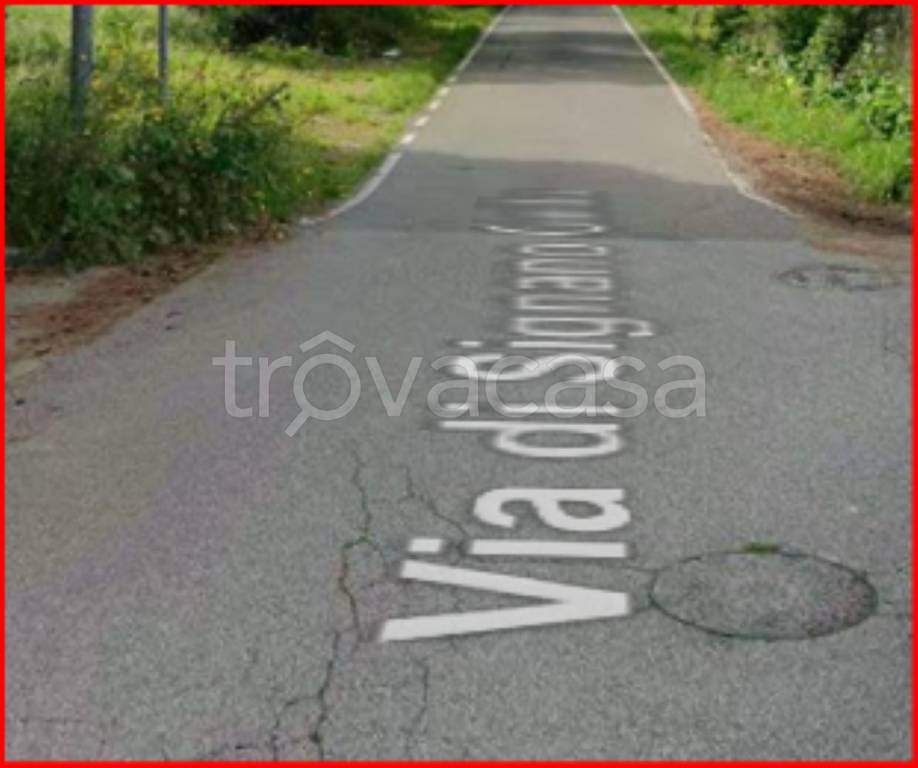 immagine annuncio 5 di 12