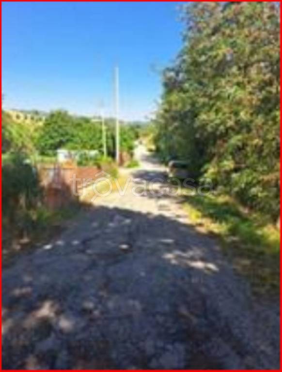 immagine annuncio 4 di 12