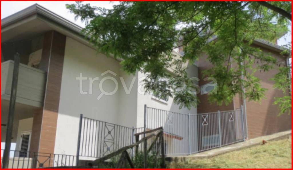 immagine annuncio 4 di 14