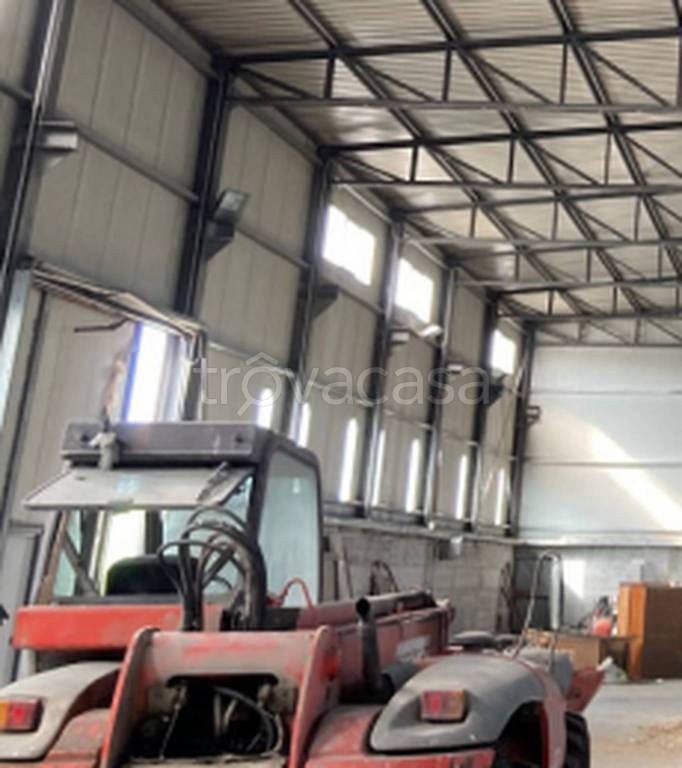 immagine annuncio 2 di 11