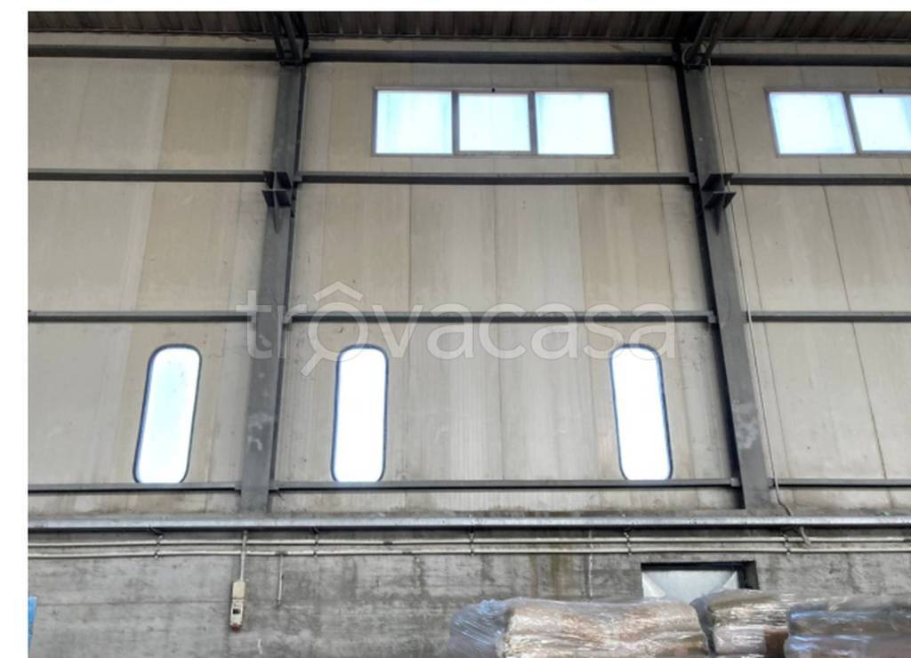 immagine annuncio 4 di 11