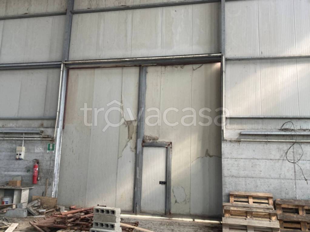 immagine annuncio 5 di 11