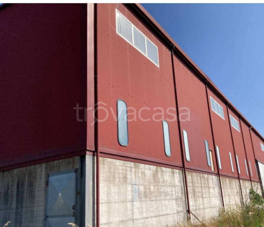 immagine annuncio 6 di 11