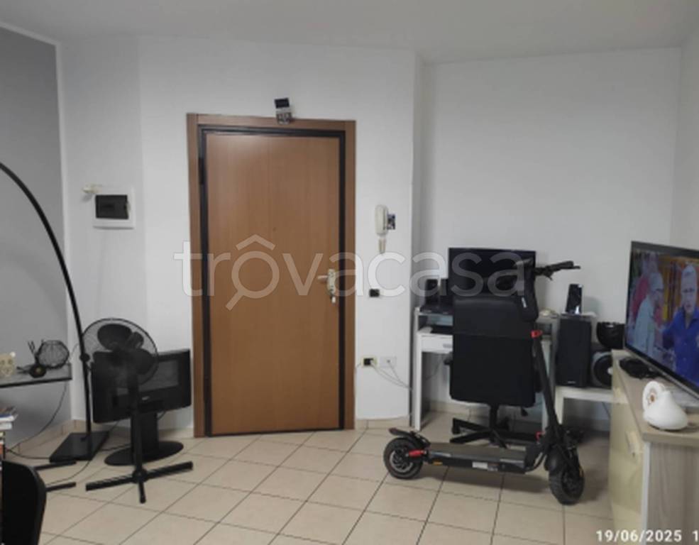 immagine annuncio 1 di 12