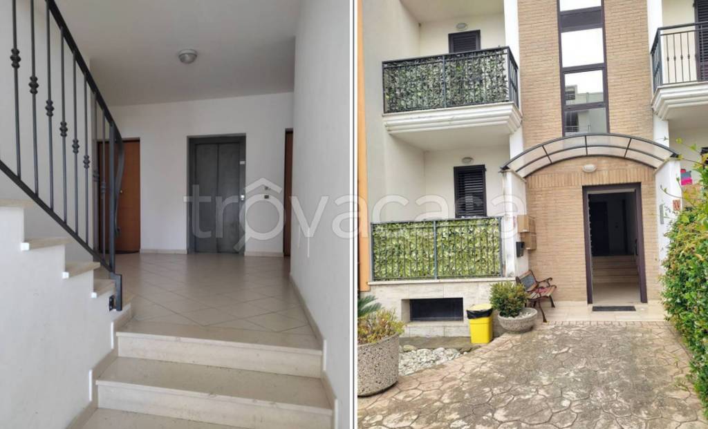 immagine annuncio 5 di 12