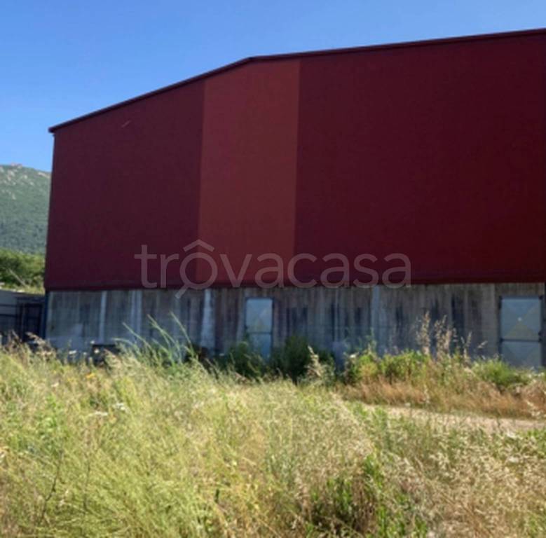 immagine annuncio 10 di 11