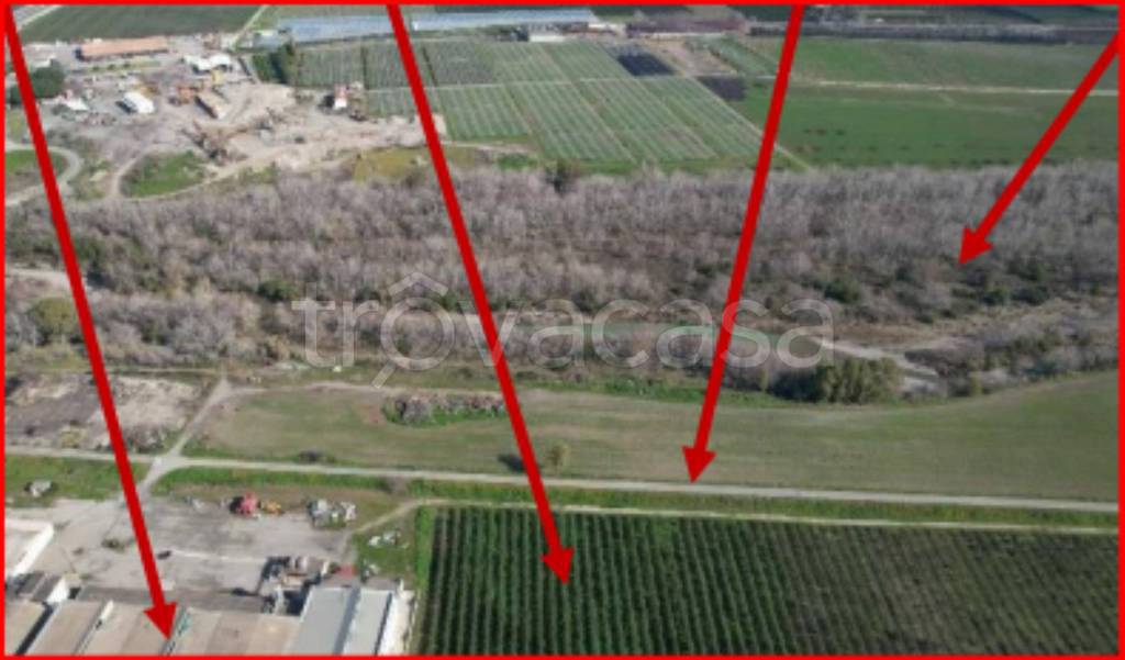 immagine annuncio 4 di 12