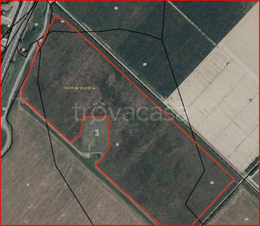 immagine annuncio 10 di 12