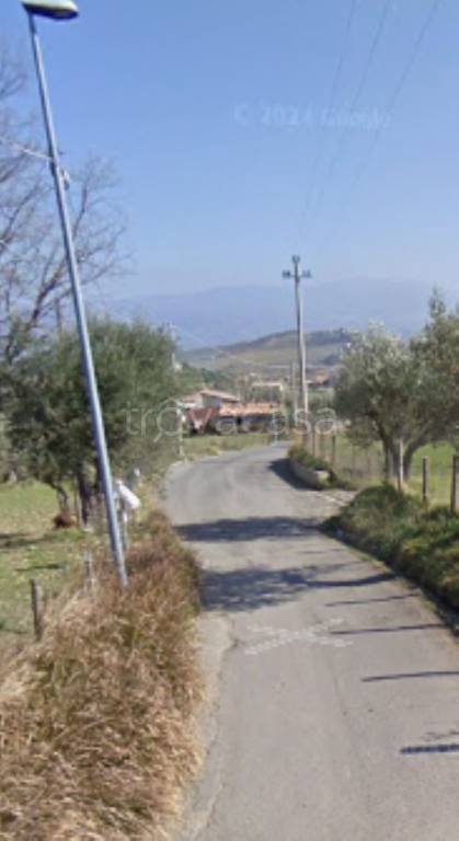 immagine annuncio 5 di 11