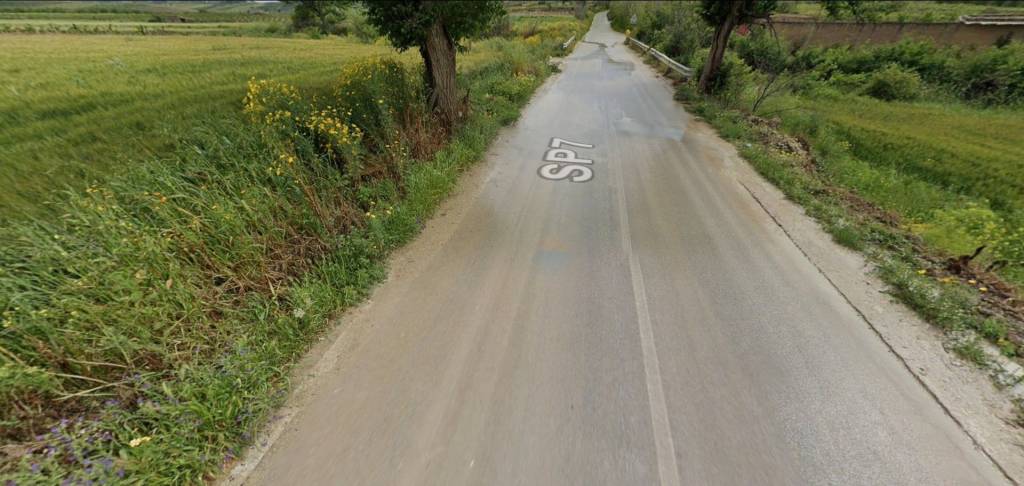 immagine annuncio 2 di 12