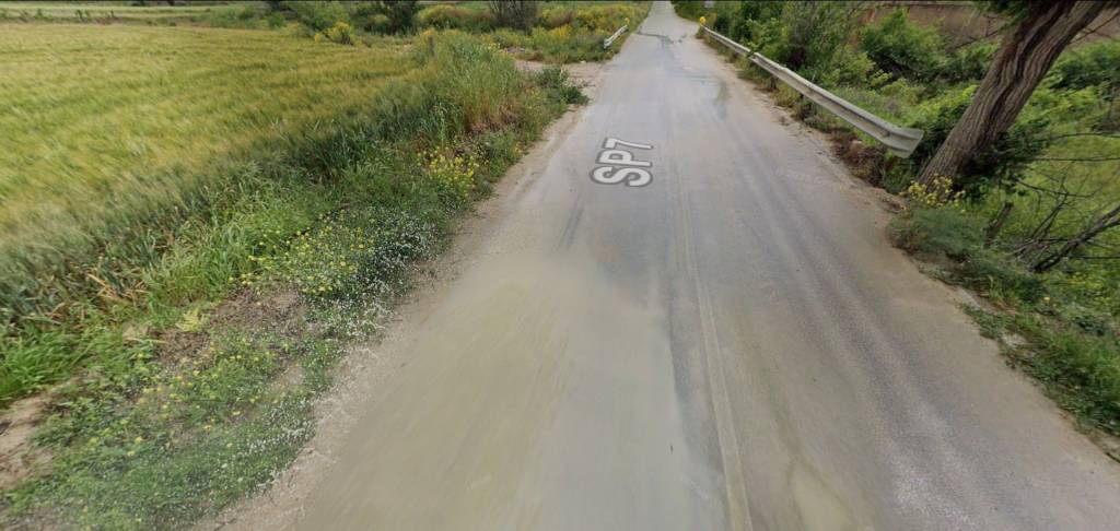 immagine annuncio 3 di 12