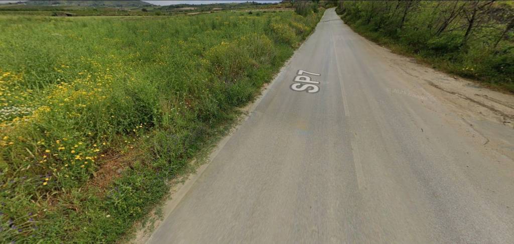 immagine annuncio 9 di 12