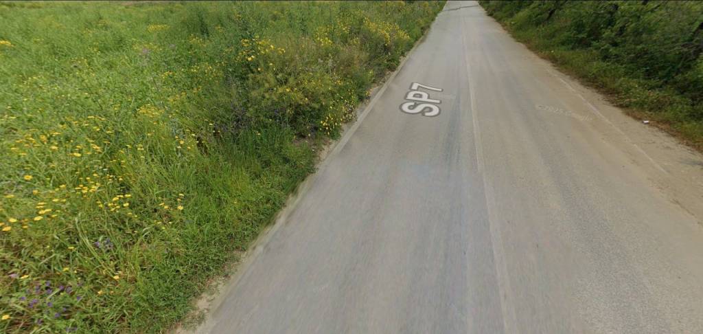 immagine annuncio 10 di 12