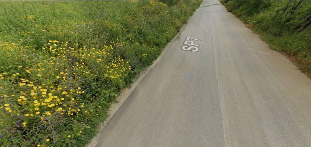 immagine annuncio 11 di 12