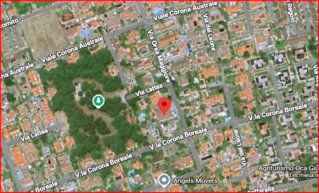 immagine annuncio 11 di 12