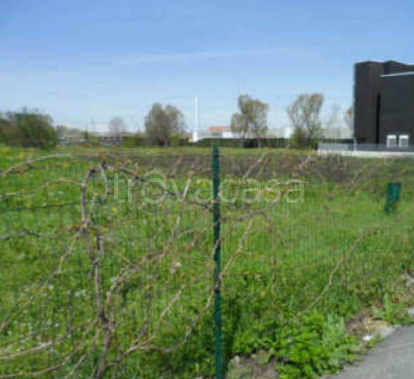 immagine annuncio 6 di 10