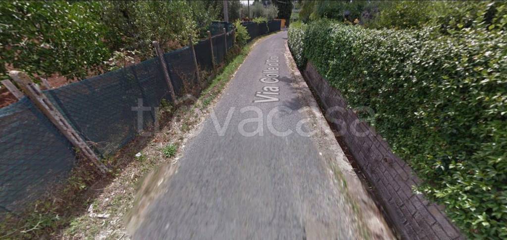 immagine annuncio 3 di 12