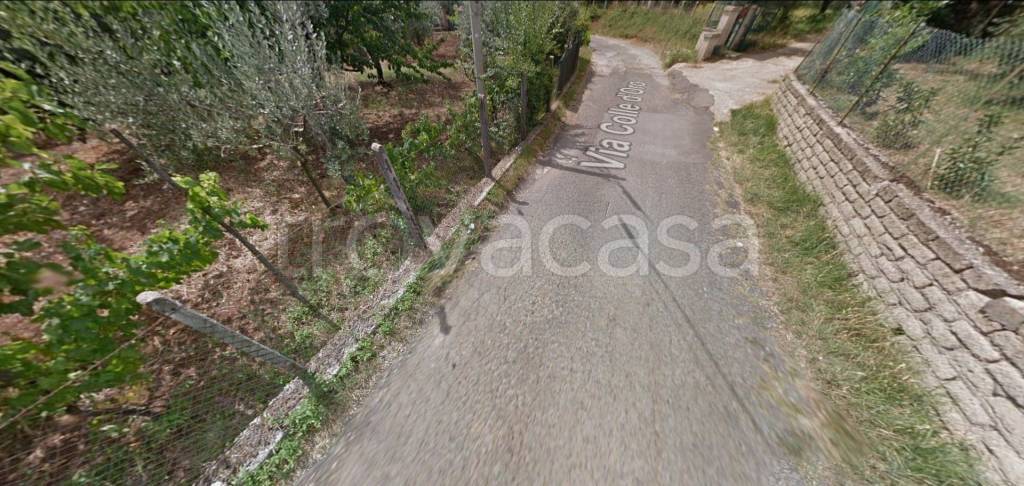 immagine annuncio 9 di 12