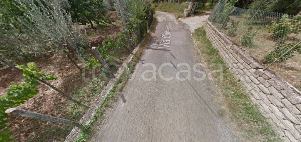 immagine annuncio 10 di 12