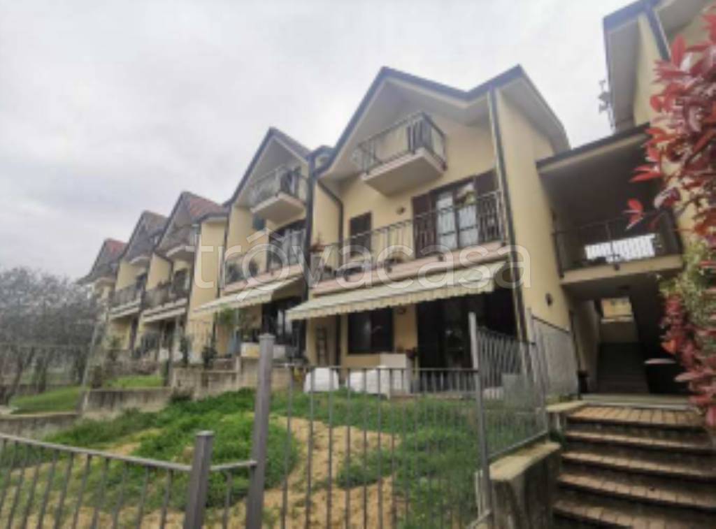 immagine annuncio 1 di 10