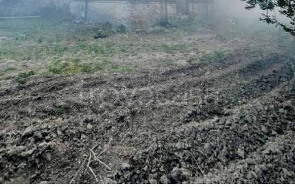 immagine annuncio 6 di 11