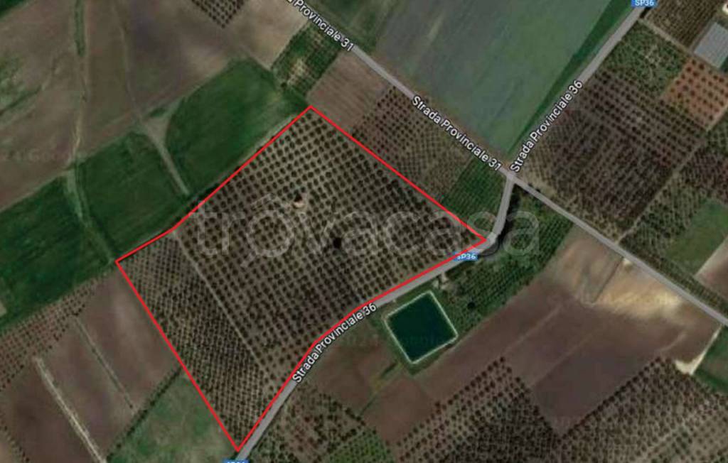 immagine annuncio 7 di 11