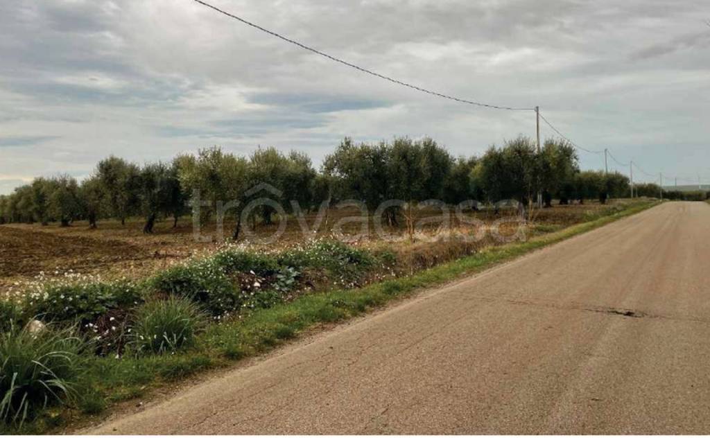 immagine annuncio 10 di 11