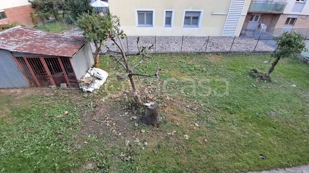 immagine annuncio 5 di 12