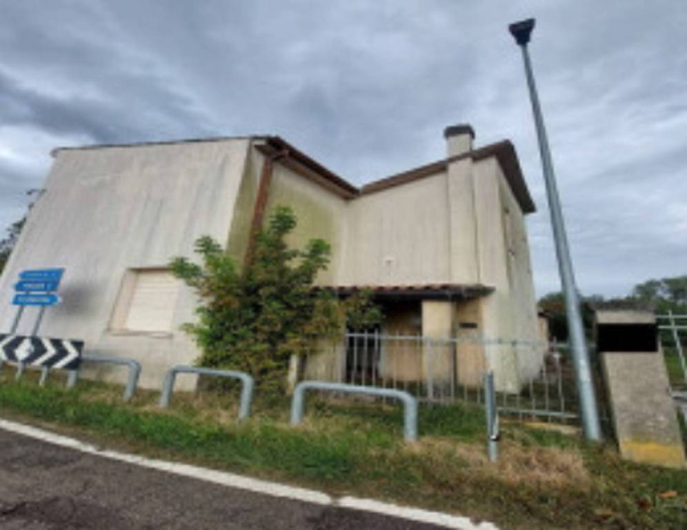 immagine annuncio 4 di 12