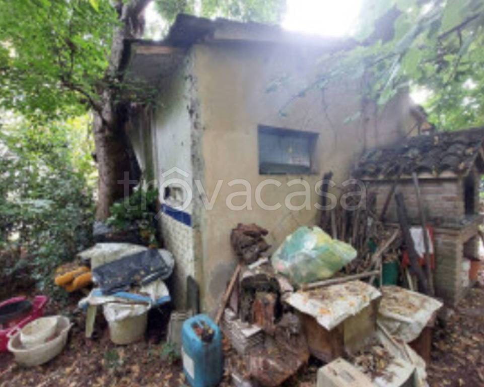 immagine annuncio 8 di 12