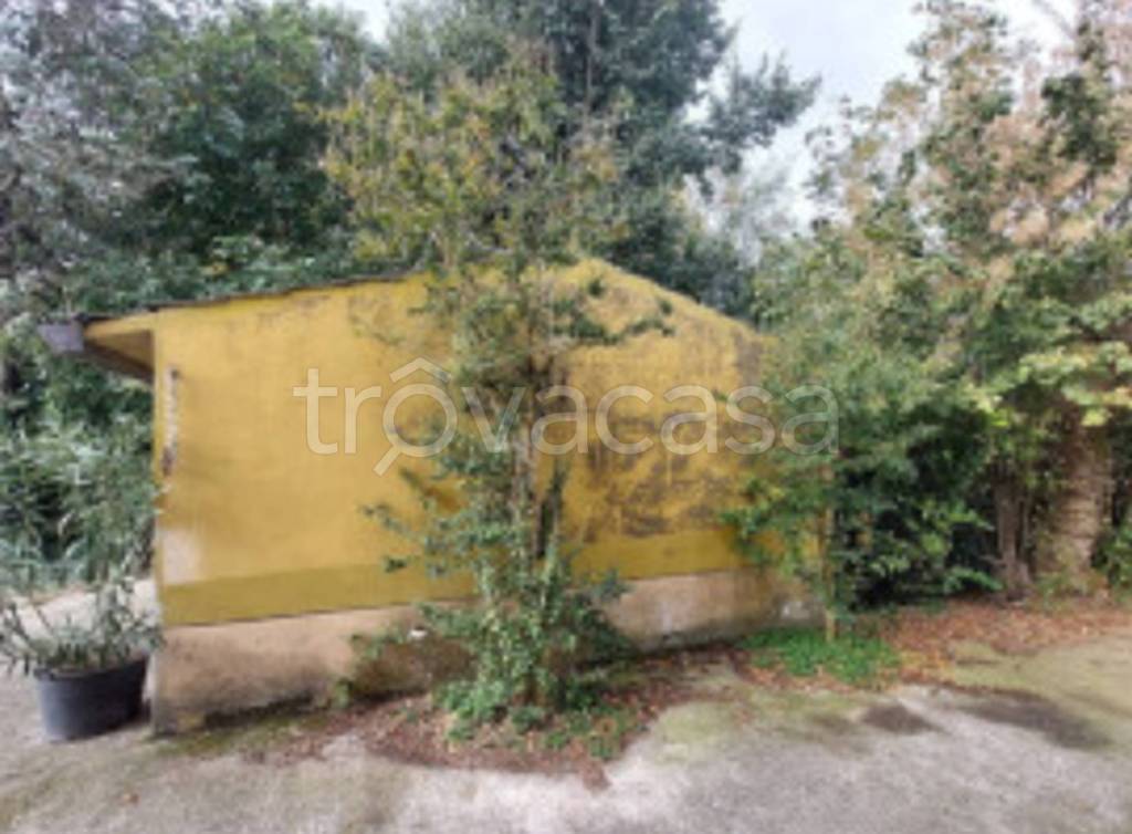 immagine annuncio 10 di 12