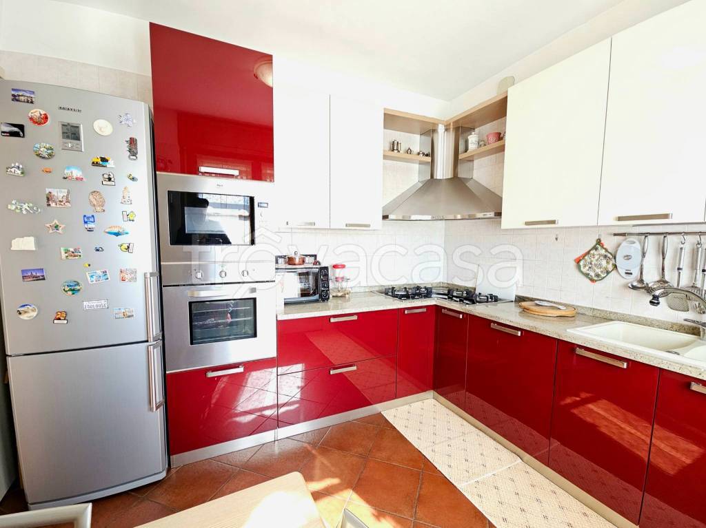 immagine annuncio 9 di 15