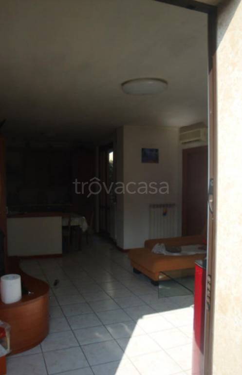 immagine annuncio 7 di 12