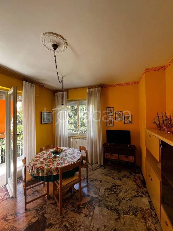 immagine annuncio 3 di 14