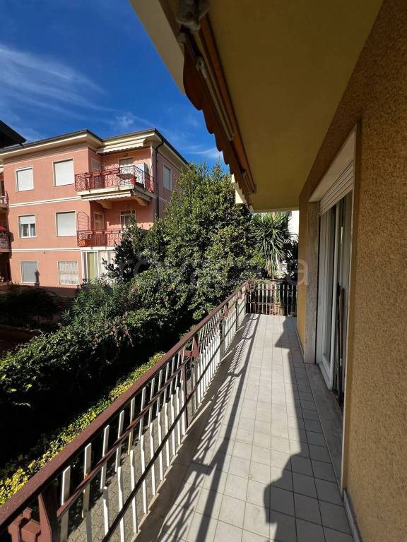 immagine annuncio 5 di 14