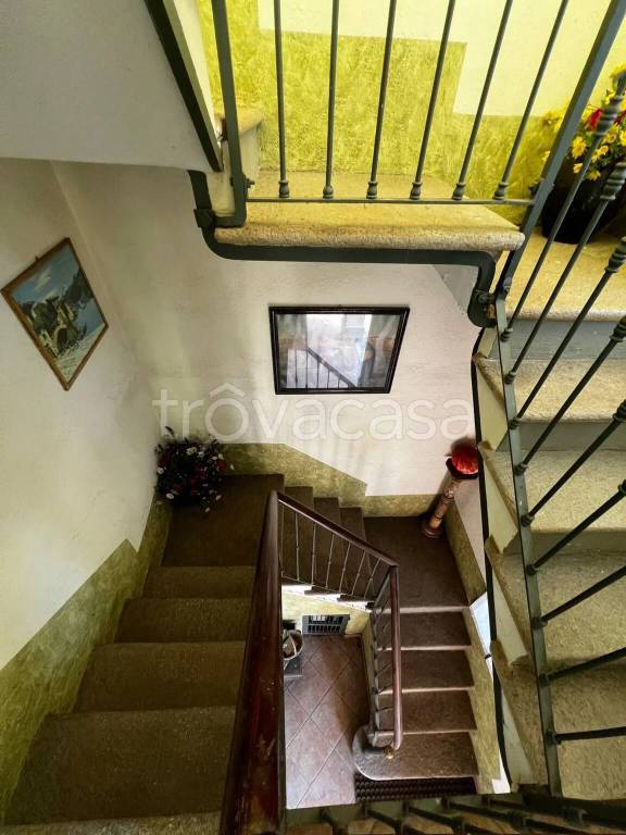 immagine annuncio 12 di 14