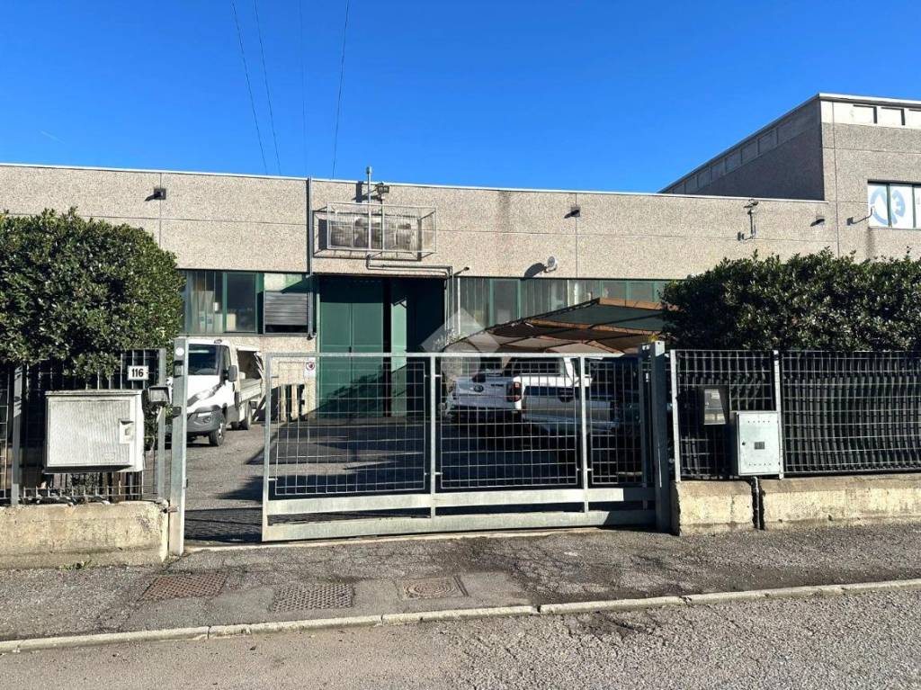 immagine annuncio 1 di 15