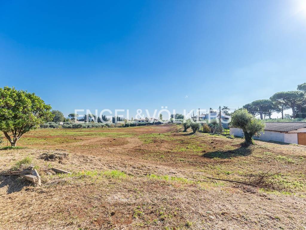 immagine annuncio 2 di 14